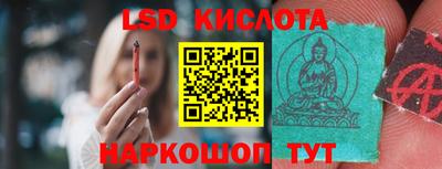 PSILOCYBIN Гусев
